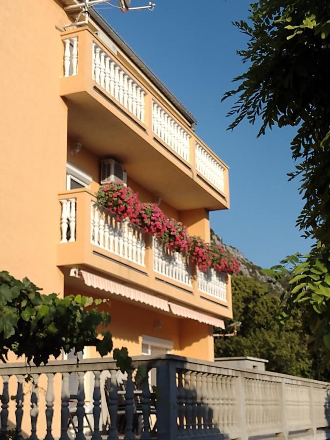 Apartman "Anna" Bribir  Extérieur photo